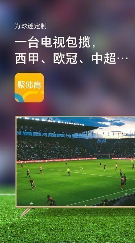 Телевизор Xiaomi Mi TV 4C 55" Sports Edition