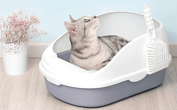 Лоток для кошек Semi-Open Cat Litter (White/Белый) : отзывы и обзоры - 3