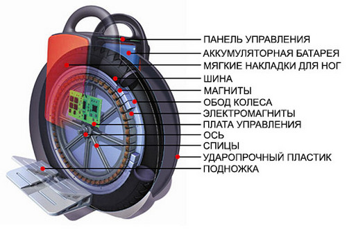 Внутреннее устройство моноколеса Электрическая «начинка» моноколеса