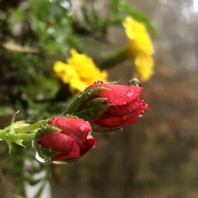 Пример фото с камеры iPhone X Пример фотографии с камеры iPhone X