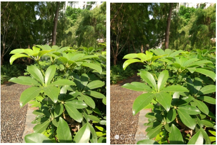 Xiaomi Mi 6 camera Xiaomi Mi 6 camera